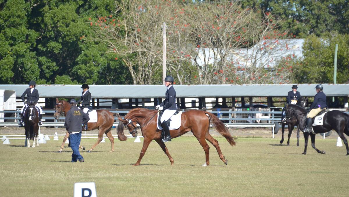The NSW Regional Dressage Festival was held at Taree Showground for the first time.