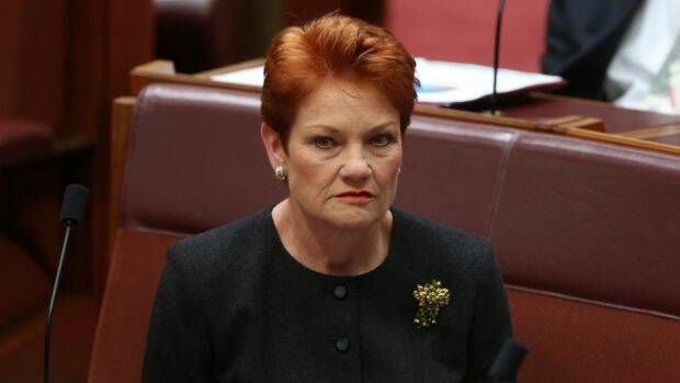 Students with disabilities are putting a strain on teachers and schools, Pauline Hanson told parliament. Photo: Andrew Meares