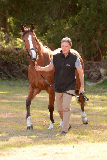 Mid North Coast Country horse of the year, Arise Augustus, with trainer Terry Evans, will be a special guest at this month's Forster Tuncurry Business Chamber breakfast.