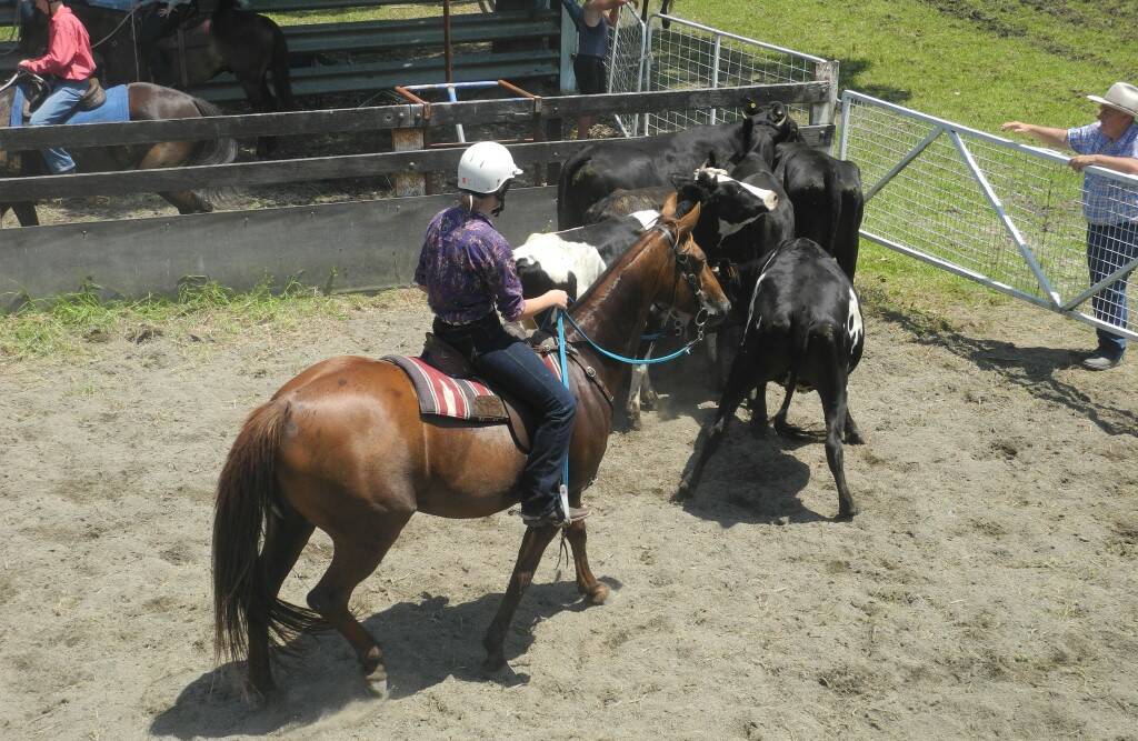 Animals: Featured at the Bulahdelah Show will be horse events including show jumping and dressage, campdraft, rodeo, working dog trials and beef cattle.