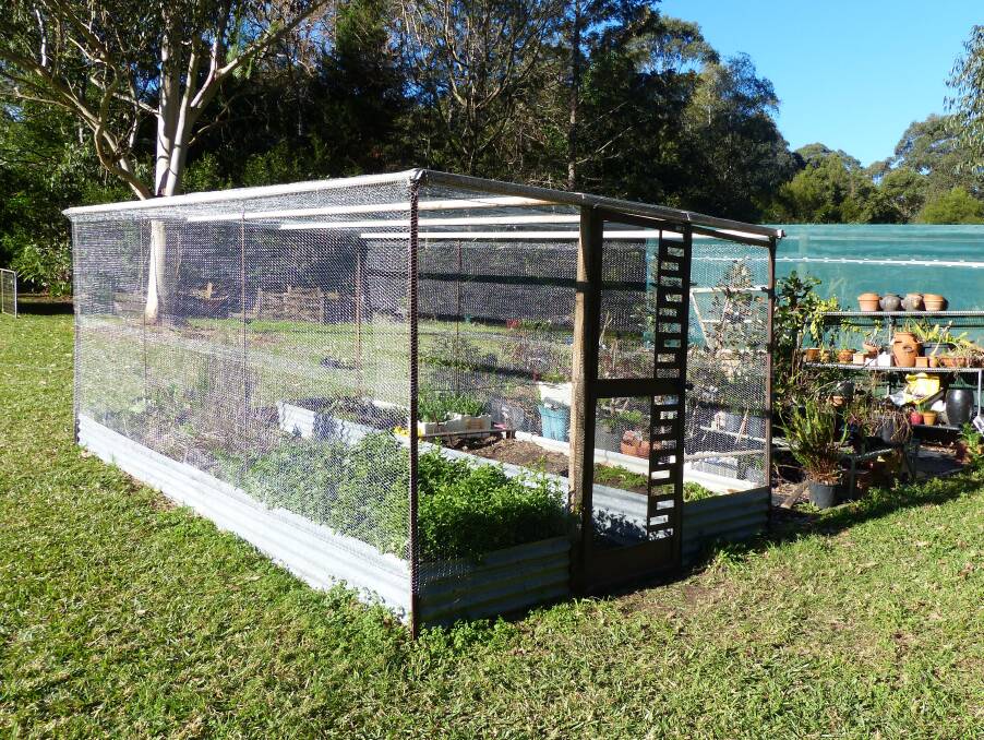My new caged veggie patch – simple, low cost and will hopefully keep any unwanted visitors out!