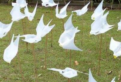 Little Terns by Sawtell Public School students. 