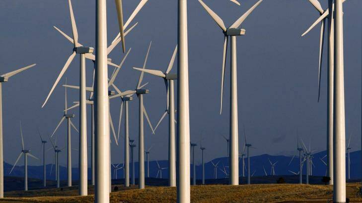 Wind provided an estimated 4.2 per cent of all electricity generated in 2014. Photo: Matt Young