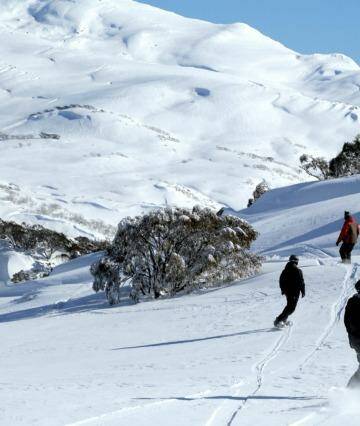 The acquisition includes the resort areas of Perisher Valley, Smiggin Holes, Blue Cow and Guthega.
