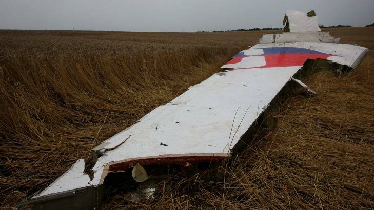 MH17 crash site near the village of Hrabovo in East Ukraine. Photo: Bohdan Warchomij