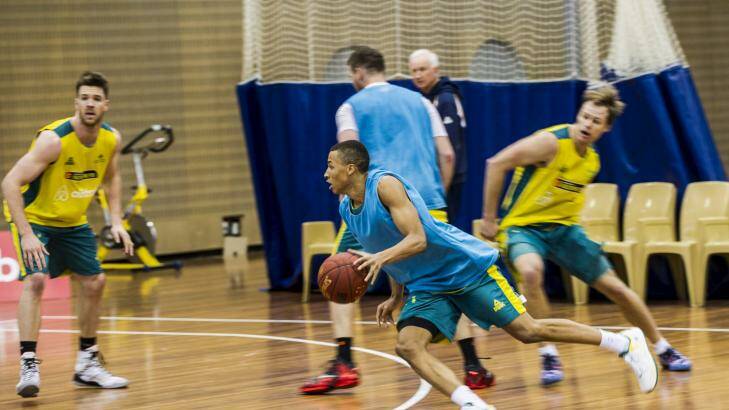 Dante Exum training with the Australian Boomers at the AIS on Thursday. Photo: Rohan Thomson