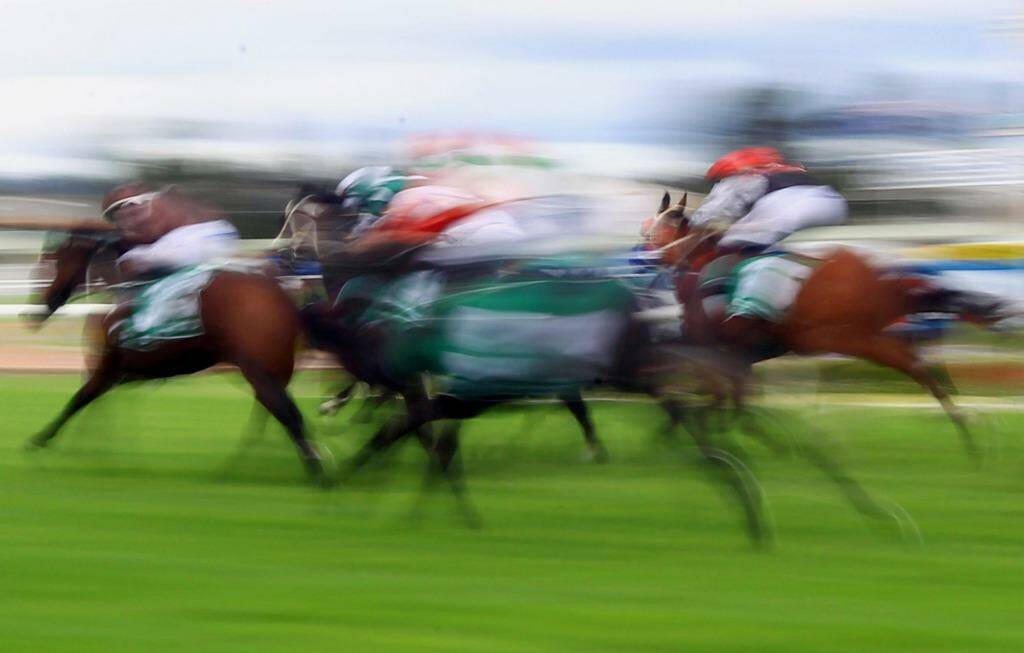 Horse racing at Rosehill Photo: Jenny Evans