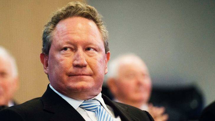 Andrew Forrest's paper wealth was estimated at $13 billion in 2008. Some analysts believe he may soon be worth as 'little' as $500 million. Photo: Christopher Pearce