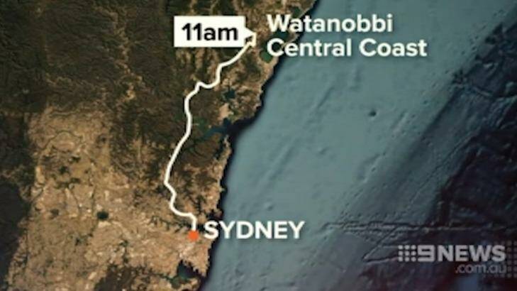 The chase began at Watanobbi, near Wyong, and snaked to Sydney's west. Photo: Nine News