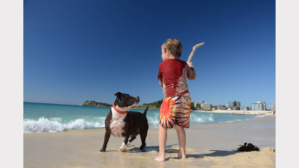 Daniel Simon plays with dog Pearl at Main Beach.