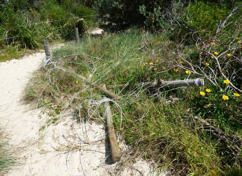 RIGHT MESS: Vandals are continually destroying fence posts and wiring along the northern access ways of One Mile Beach, costing council and Dunecare volunteers hundreds in repairs.  