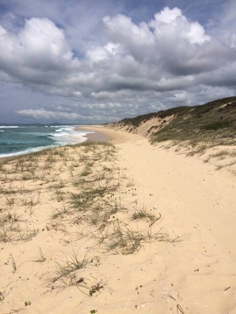 CLOSED: Mungo Beach in Myall Lakes National Park has been closed until further notice after heavy seas caused significant erosion, creating steep, sand cliff faces.   