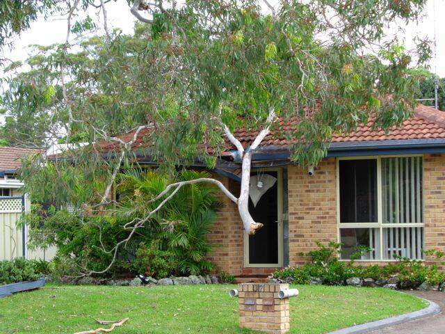 CLOSE CALL: Ric Bentley took this photo of his mother’s villa in Hind Avenue Forster which had a section of roof and the entrance way crushed by a large tree branch that came down in the wild wind on Sunday afternoon. 