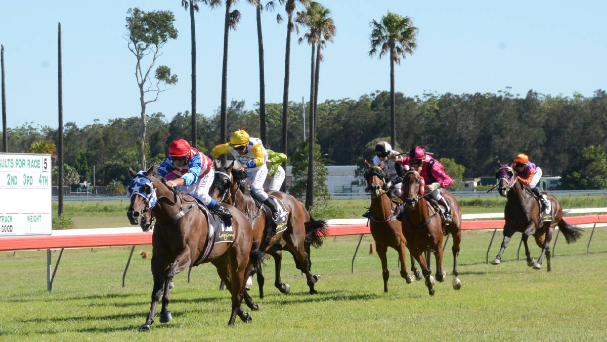 TRAINED AT WYONG:  Jeff Keo rides Webmeister to win the last race of the day - The Tuncurry Beach Bowling Club Maiden and Class One Plate (2100m). Photo by Scott Calvin.  