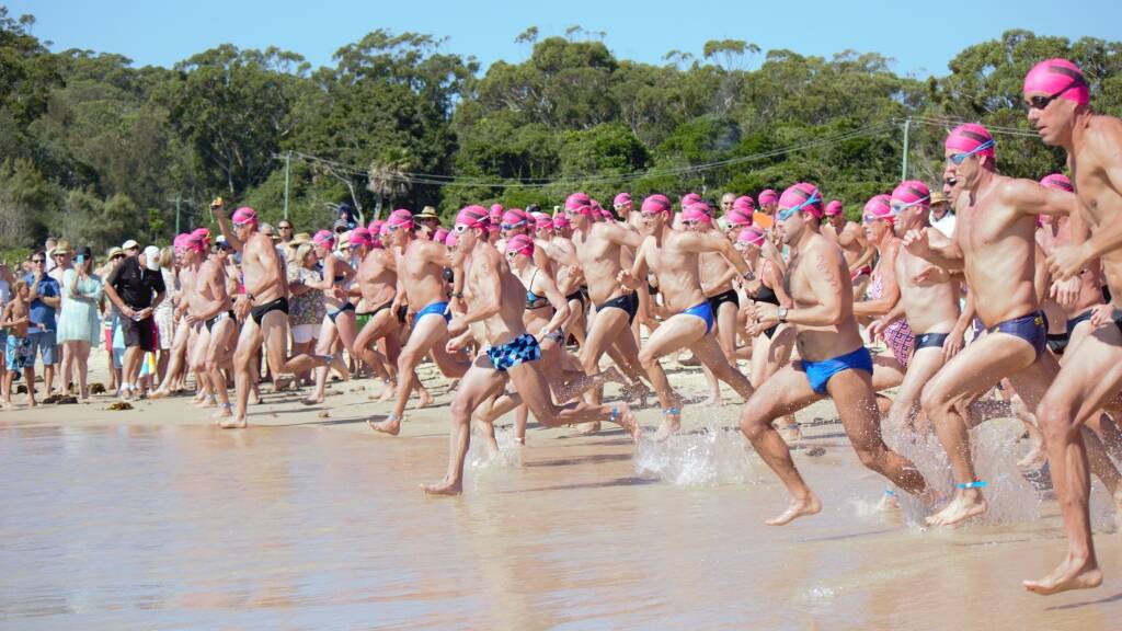 And they're off.  There were 243 swimmers in the annual Rock to Rock on Sunday.
