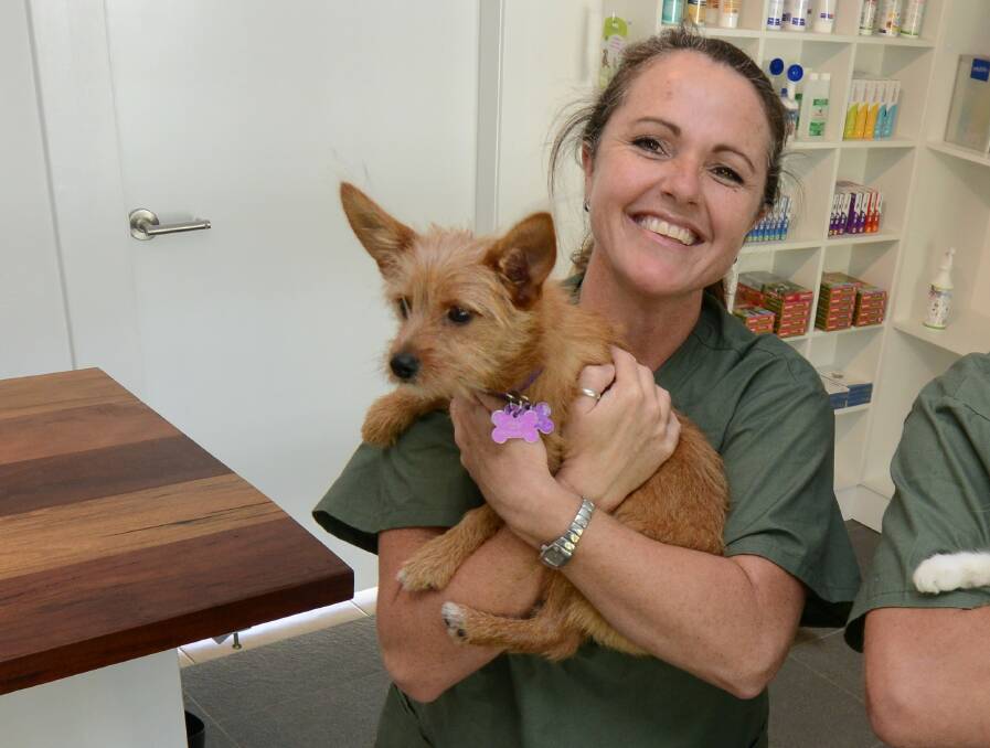 HAPPIER TIMES - Sweet Pea Animal Hospital practice manager Samantha Blake has also received anonymous letters threatening her own dogs in the past. 