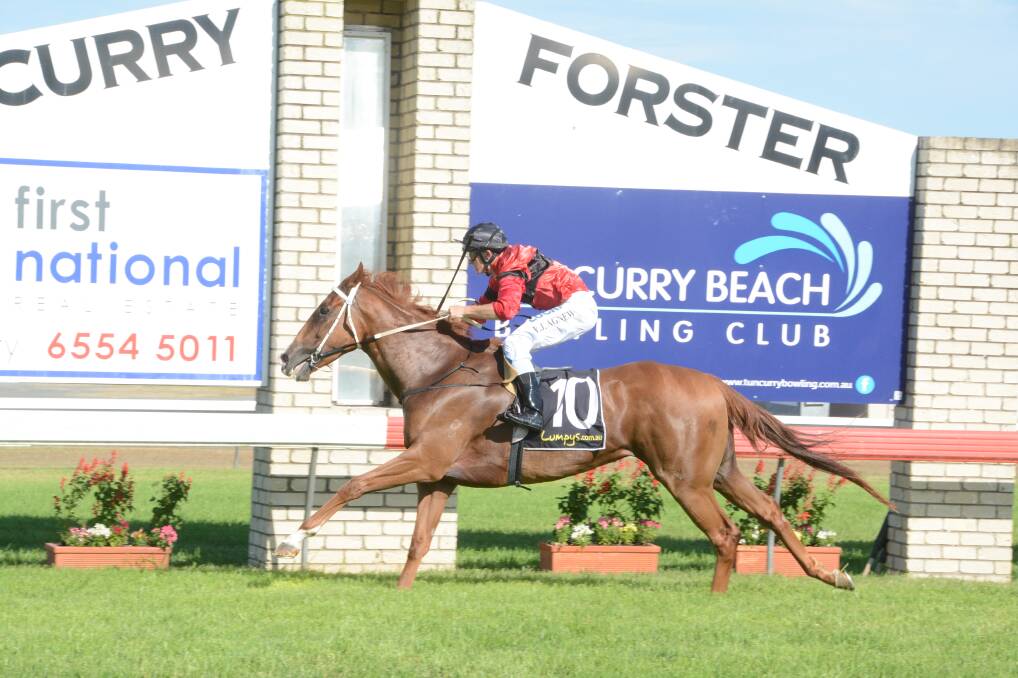 Charity Day: County Crown, ridden by Robert Agnew, took out the Taree Mercedes Benz Class 1 Handicap at the Men of League Race Day. Photo: Scott Calvin.
