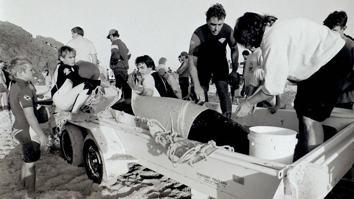 1992 WHALE RESCUE: These people were among almost 200 volunteers who worked through the night on Monday, July 13 1992 to help move a pod of stranded false killer whales. Volunteers managed to save 44 whales out of a pod of 49. Five died on the beach. 