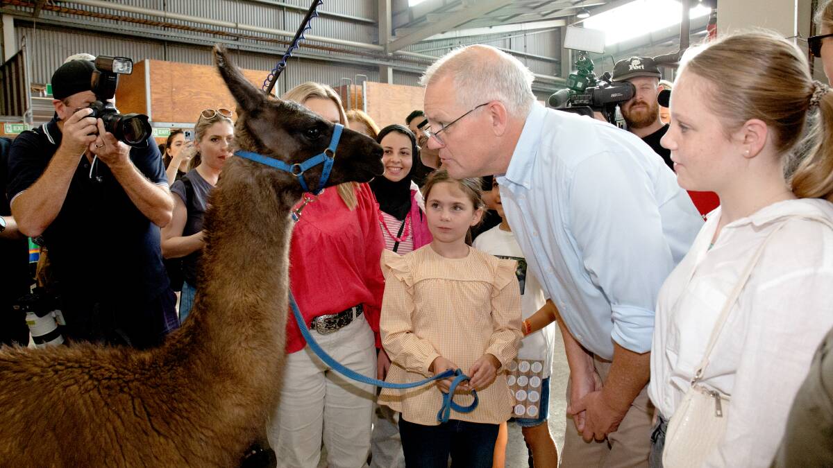 Scott Morrison faces off with a llama at the Sydney Royal Easter Show with his family. Picture: James Croucher