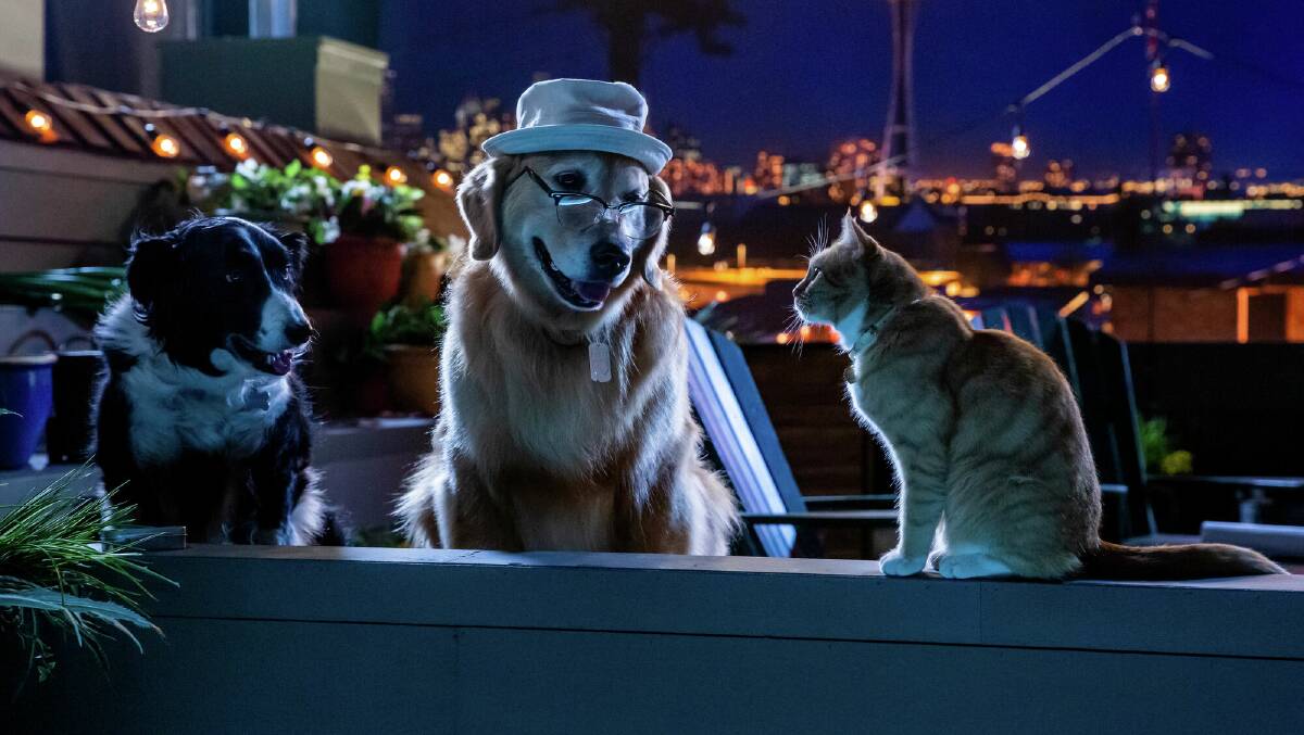 A scene from Cats & Dogs 3: Paws Unite! Picture: Warner Bros.