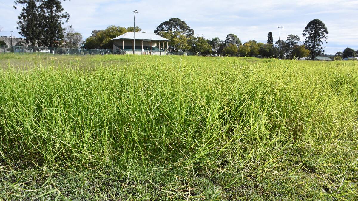 Taree's premier cricket field, the Johnny Martin Oval, has been severely impacted by the ongoing rain.