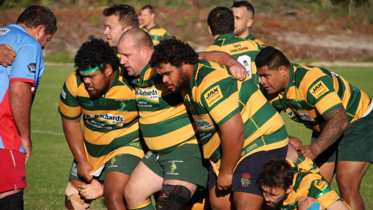 Ready for the Bulls: Forster Tuncurry's front row trio of tight-head Austin Latu, hooker Gavin Maberly-Smith (centre) and loose-head Ringo Latu, and at rear,second-rower Hau Honemau. Photo Sue Hobbs.