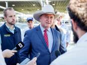 MONEY A MUST: Barnaby Joyce, pictured at the Hunter Regional Livestock Exchange, said more biosecurity money would be need to keep foot and mouth out.