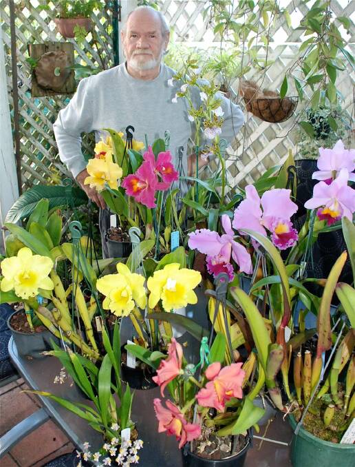 Roy Difford, president of Great Lakes Orchid Society, with some of his plants which will be on display at the show.