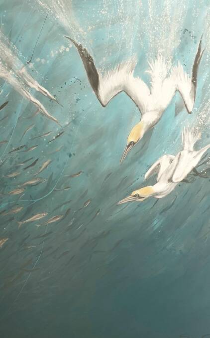 Diving Gannets by artist Shaun Clark is just one of the magnificent large artworks about to be unveiled at Pacific Palms Recreation Club this weekend.