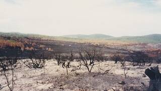The 1997 bushfires swept through Turtles Crossing.