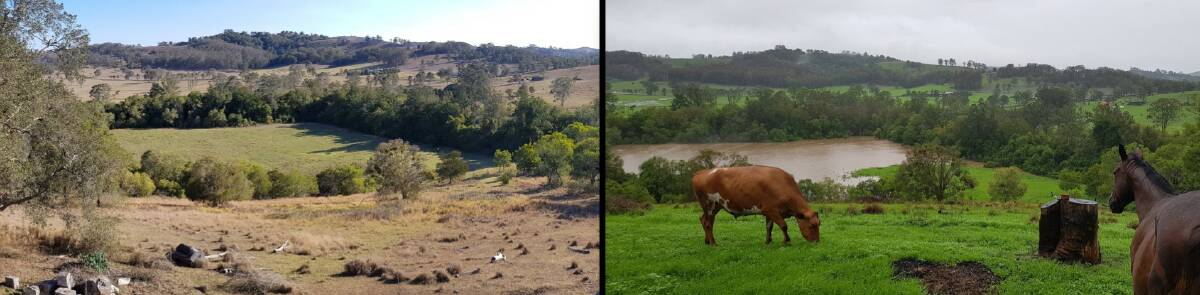 Rebecca Casson's Firefly property before and after the rain.