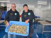 Fourth generation fishers, Phillip and Graeme Byrnes at their Forster premises.
