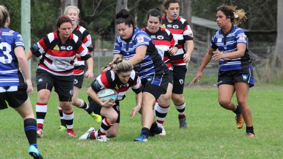 The Wallamba women were too strong for the Gloucester Cockies in Saturday's preliminary final. 