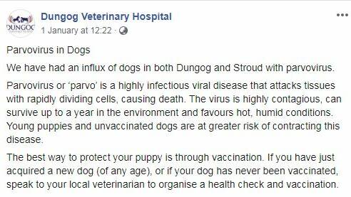 Dog owners urged to protect dogs from parvovirus
