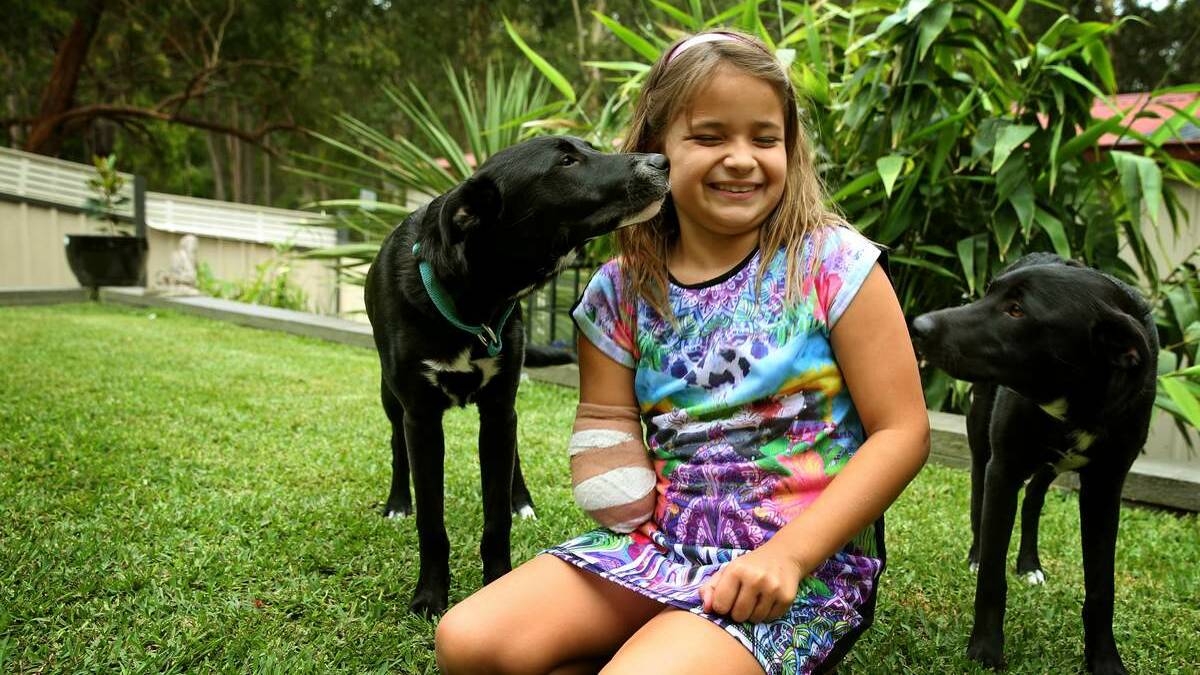 Thalia Standley, 8, with her dogs, Simba and Shadow. Picture: Marina Neil