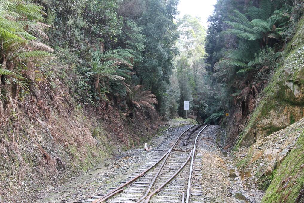 The West Coast Wilderness Railway: accessing steep, rugged country.
