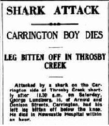 A newspaper report of a fatal Bull Shark attack in Throsby Creek in 1936. 