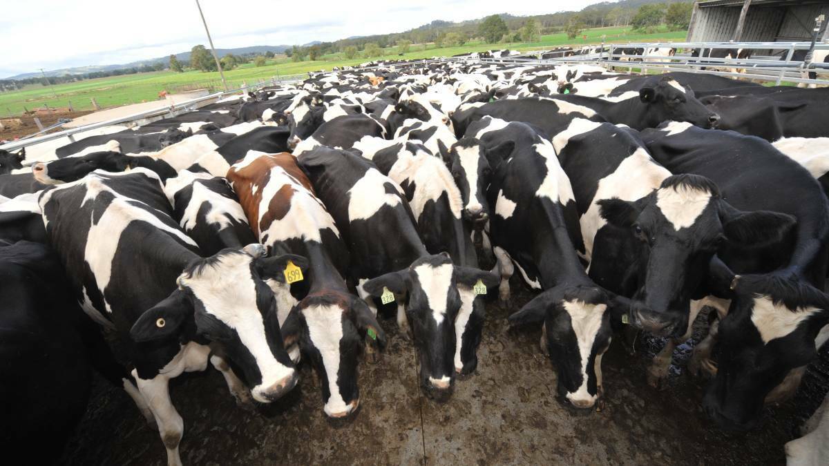 FRESH PLEA: A royal commission into the dairy industry have been renewed.
