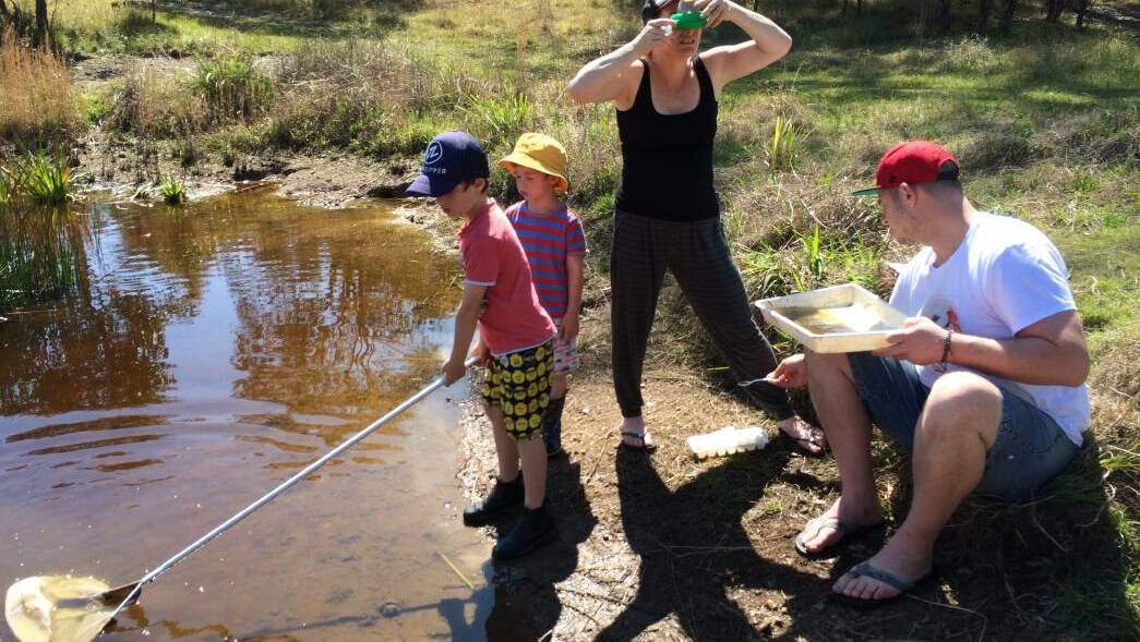Children enjoy adventure time with their parents while looking for bugs in the pond.