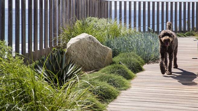 Water restrictions don't necessarily have to mean sacrificing outdoor style, aesthetic and use