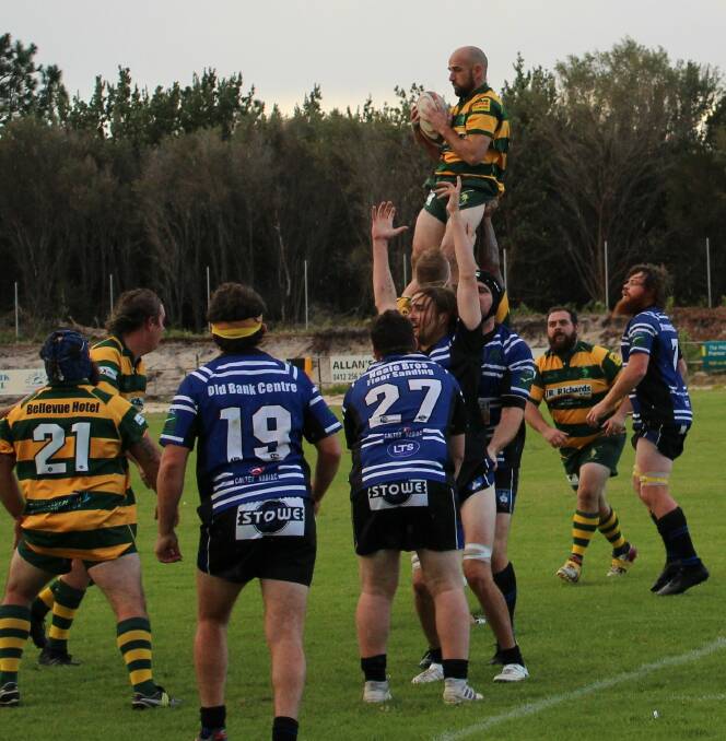 Ageless warrior Tom Harris soars above the pack in the Dolphins 43-10 defeat of the Wallamba Bulls on Saturday. Photo by Sue Hobbs.