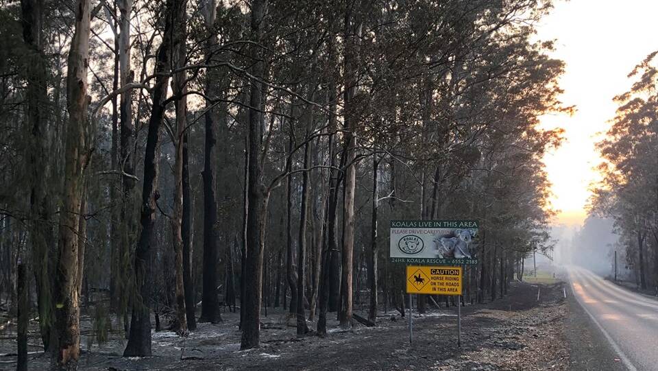 RFS crews expect to contain the Minimbah Road and Failford Road fires in the coming days.