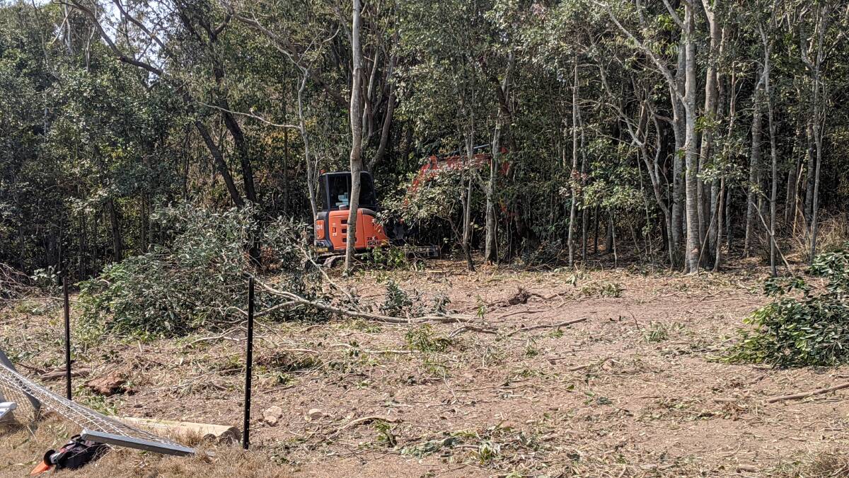 A contractor clearing protected rainforest next to Black Head Bowling Club on November 13, 2019. Photo supplied.
