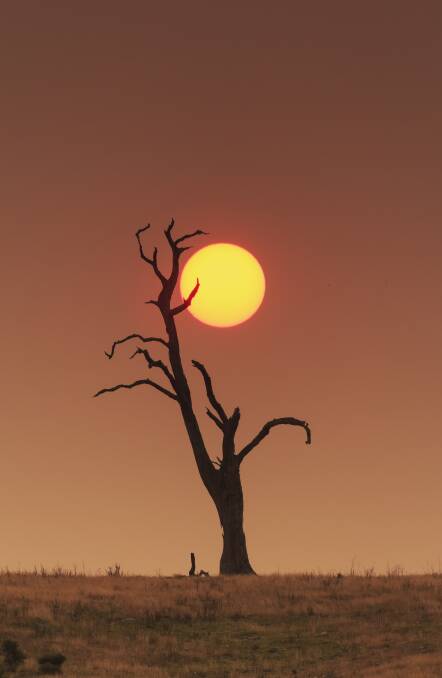 Sunset silhouette.