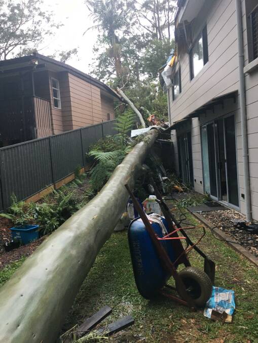 The fallen tree struck two houses. Photo supplied.