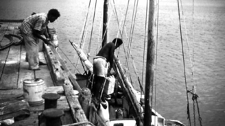 The Mission Launch: the Yola being loaded with goods at Portland Roads Jetty at Cape York in 1956.