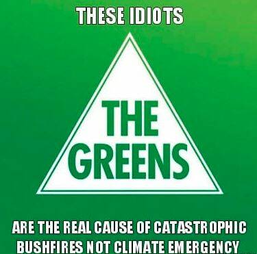 An example of the blame that's been directed towards the Greens online.