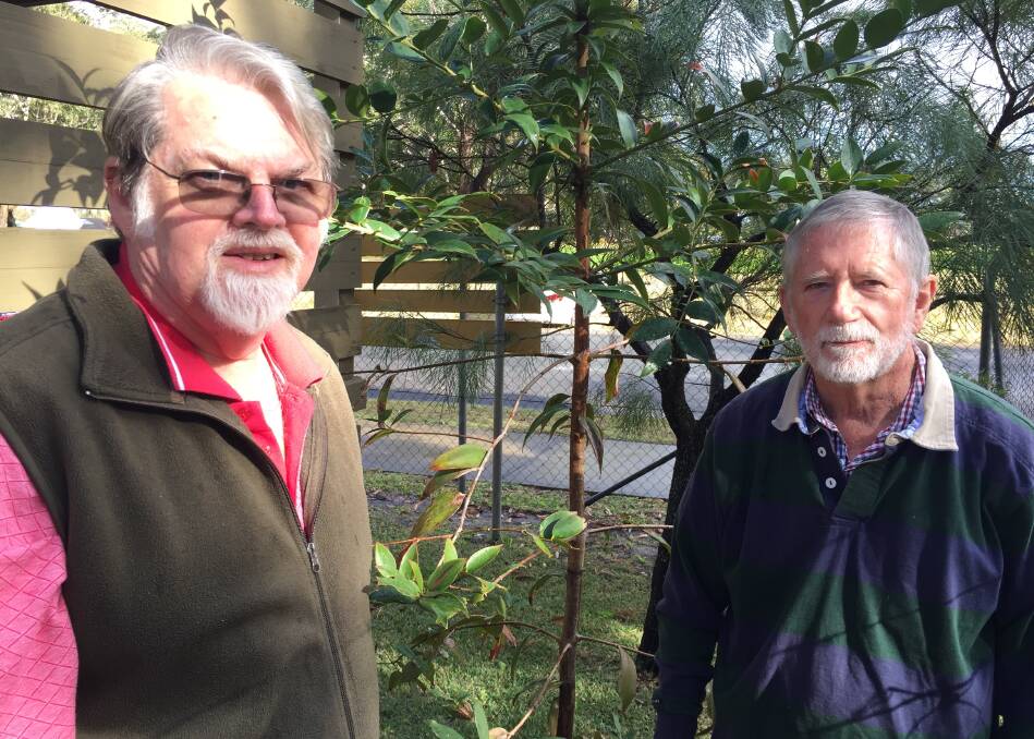 Graham Nicholson and Chris Borough standing in front of the kauri tree planted at the Great Lakes Historical and Maritime Museum to commemorate the shipping and trade connection between the Great Lakes and New Zealand.