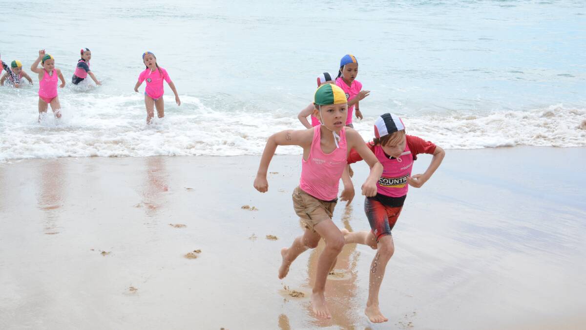 Nippers from across the Lower North Coast Branch took part in the first fast 5 carnival in November.