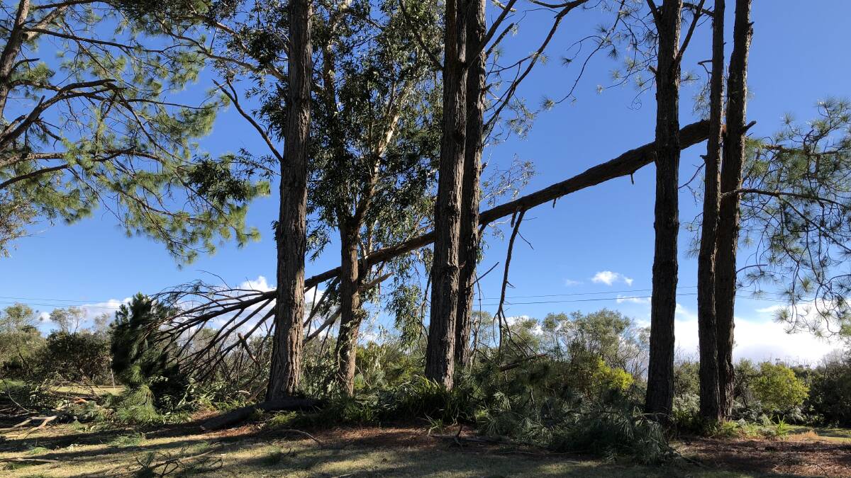 Strong winds did damage across the region on the weekend.